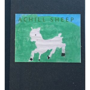 Achill Sheep