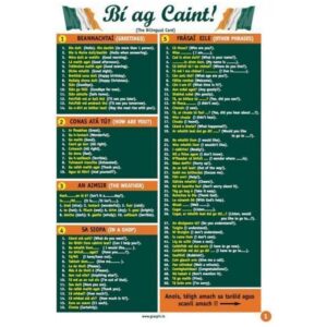 Bi ag Caint - Glance Card