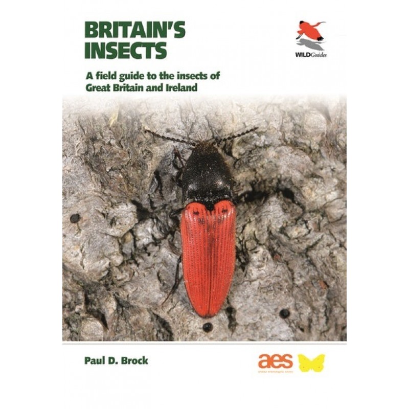 Britain's Insects: A Field Guide to the Insects of Great Britain and Ireland