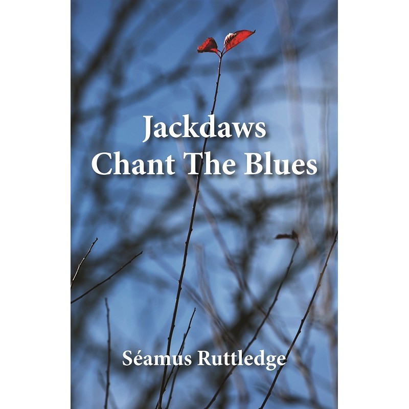 Jackdaws Chant The Blues