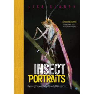 Insect Portraits – Capturing the personality of (mostly) Irish insects
