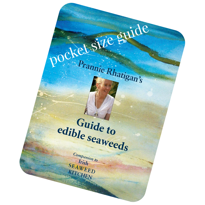 Prannie Rhatigan's Guide to Edible Seaweeds