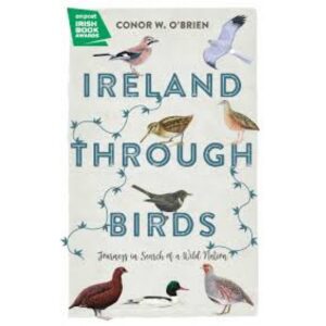 Ireland Through Birds