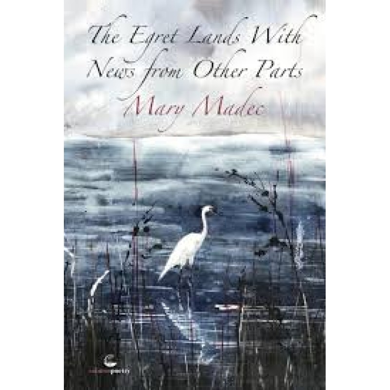 The Egret Lands With News From Other Parts