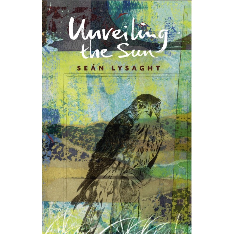 Unveiling the Sun: A Mayo Journal