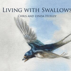 Living With Swallows